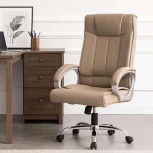 INNOWIN Profit High Back Orthopedic Boss Chair with 3 Year Limited Warranty | Leatherrite Office Chair | Ergonomic Executive Chair with Spacious Cushioned Seat | Heavy Duty Metal Base | Mashroom