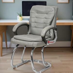 Deluxe Cushioned Office Home Study Chair with Chrome Durable Frame and Cushioned seat Back (1, Grey, Double Pipe Chrome Steel Frame)