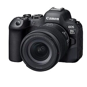 Canon EOS R6 Mark II 24.2 MP Mirrorless Camera-Body Only (Black)