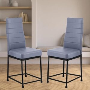 Zidle Bloom Dining Faux Leather Chair Model for Living Room 2 Piece | Cafe | Home | Bedroom | Restaurant | Seat Powder Coated Metal Legs (Grey Leatherette rexine) | 1 Year Warranty
